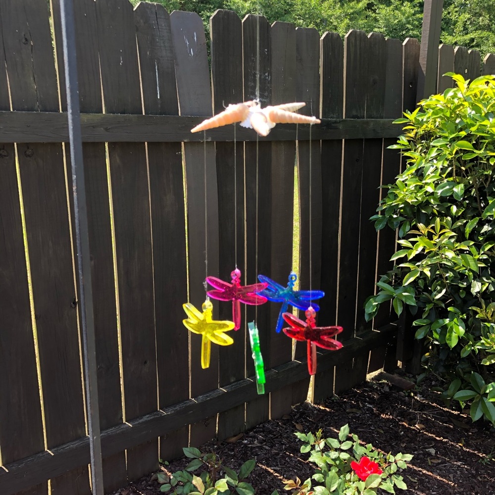 Dragonfly Mobile